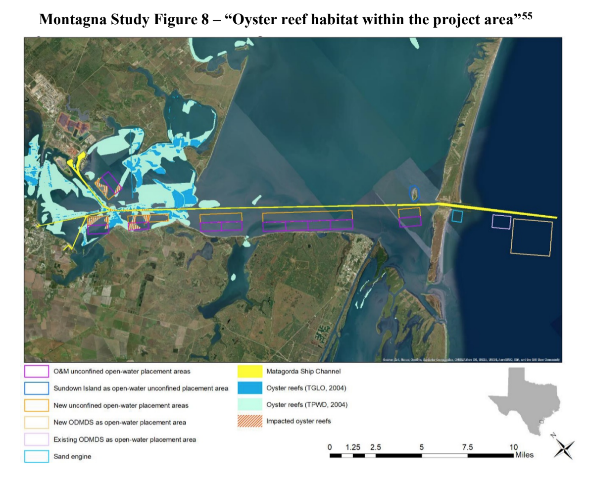 Environmental advocates, fishermen call for new federal review of ship channel expansion